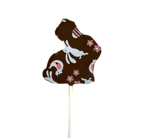 Piruletas de chocolate